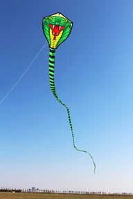 Outdoor Fun Sport Strong Snake With Long Colorful Tail Huge Beginner Snake Kites For Adults Come With String And Handle
